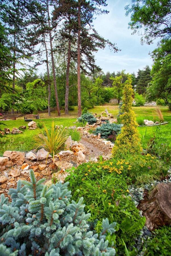 Apartmán Borov Park 1 Velingrad Exteriér fotografie