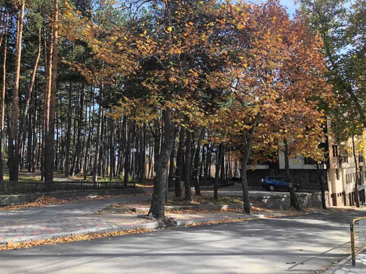 Apartmán Borov Park 1 Velingrad Exteriér fotografie