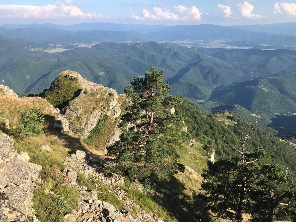 Apartmán Borov Park 1 Velingrad Exteriér fotografie